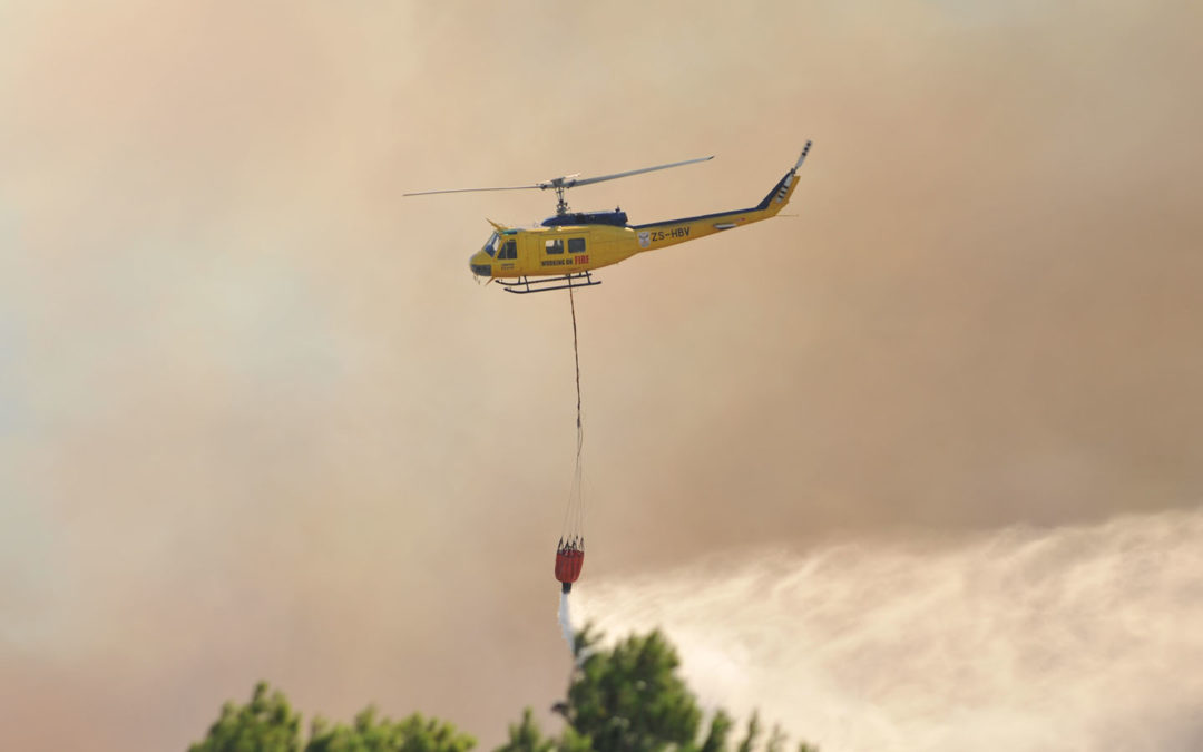 Working on Fire quer mais mercado de combate a incêndios florestais no Brasil