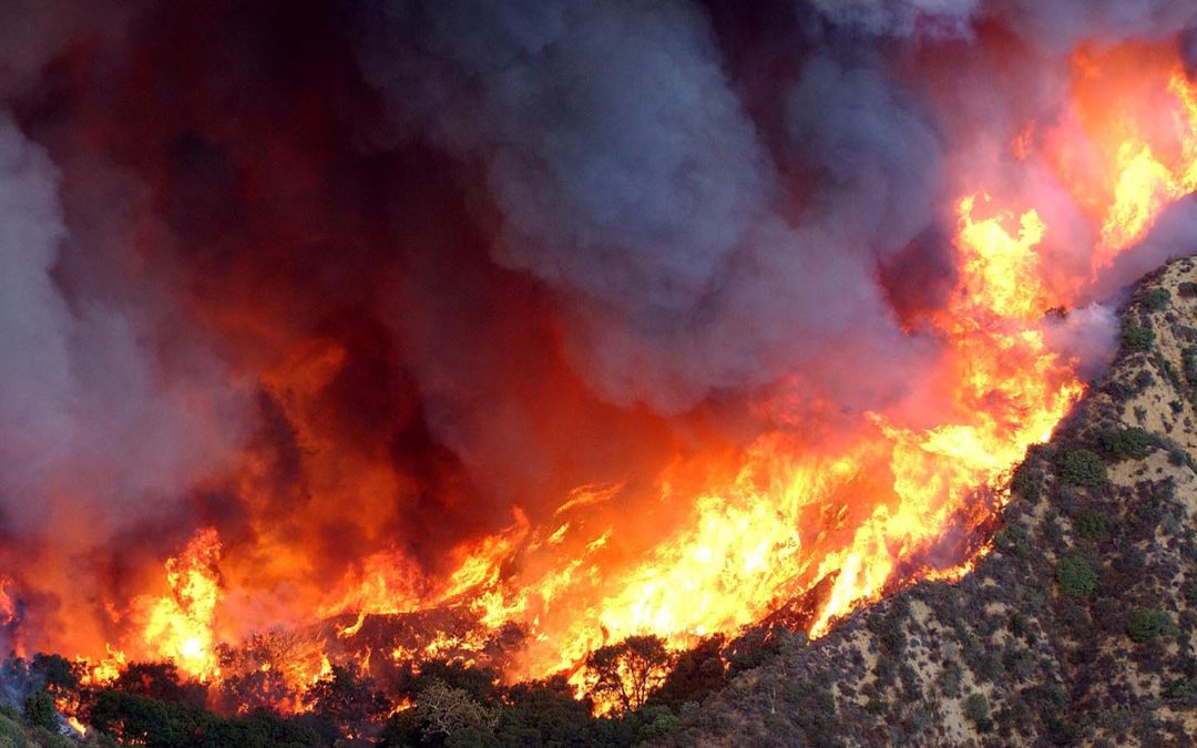 Um mundo mais quente está provocando incêndios florestais cada vez maiores