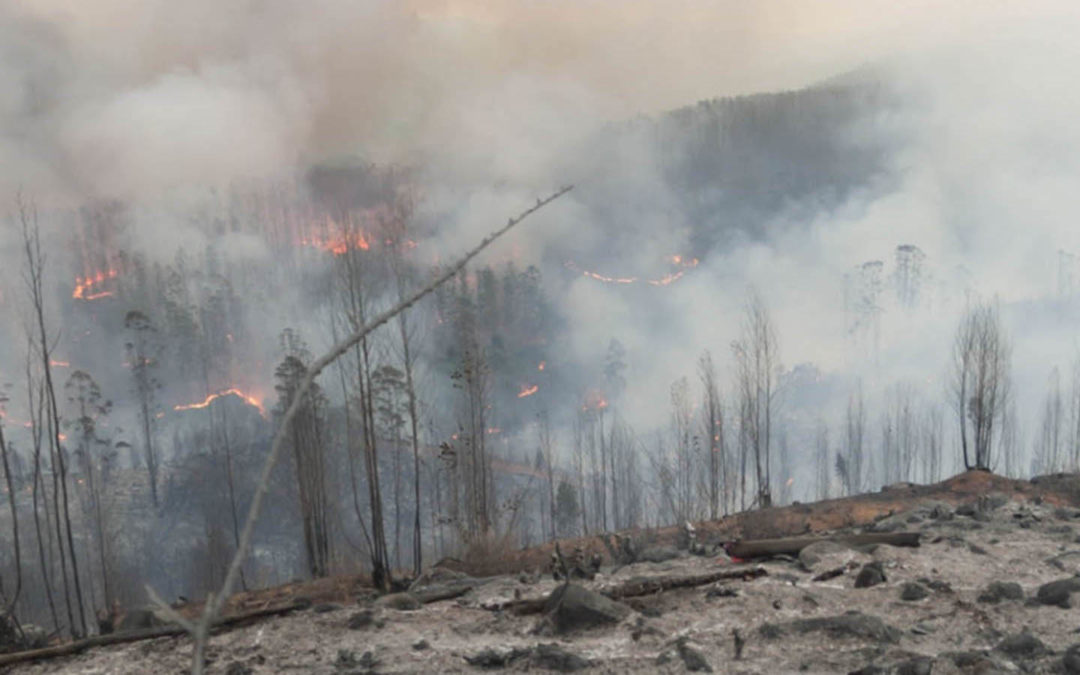 O gerenciamento inteligente de incêndios florestais pode ajudar a conter o aquecimento global