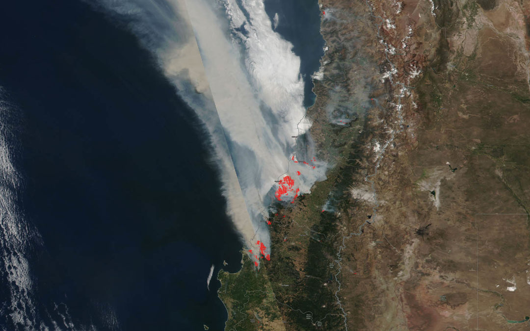 Especialista em incêndios florestais da Espanha analisa incêndios do Chile